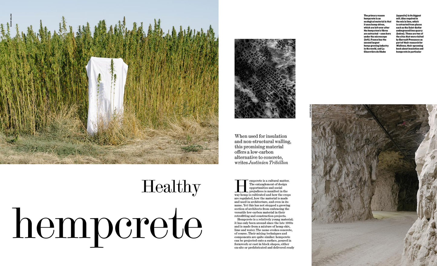 Concrete: The Architectural Review issue 1515, October 2024